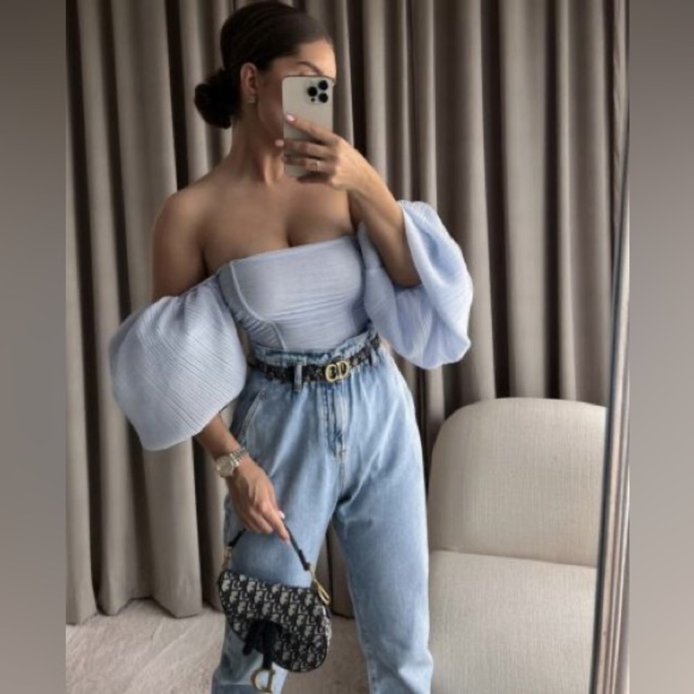 Zara Organza Blouse